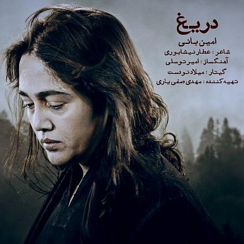 Cover artwork for Darigh by Amin Bani